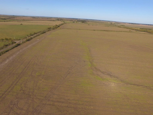 Imagen 1 de 7 de 500 Hectáreas Agrícolas En San Salvador, Entre Ríos A 1000 Metros Del Ripio.
