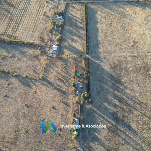 Campo En San Pedro