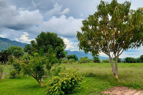 Imagen 10 de 10 de Fd Asein P1454 Vende Hermosa Finca En Chirgua Sector El Leon Municipio Bejuma Del Edo. Carabobo
