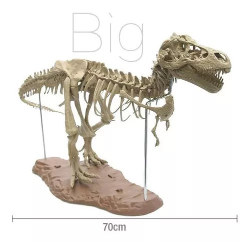 Esqueleto 4d Tiranossauro Rex Grande Dinossauro Para Montar