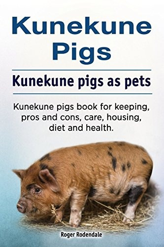 Cerdos Kunekune Cerdos Kunekune Como Mascotas Libro De Cerdo