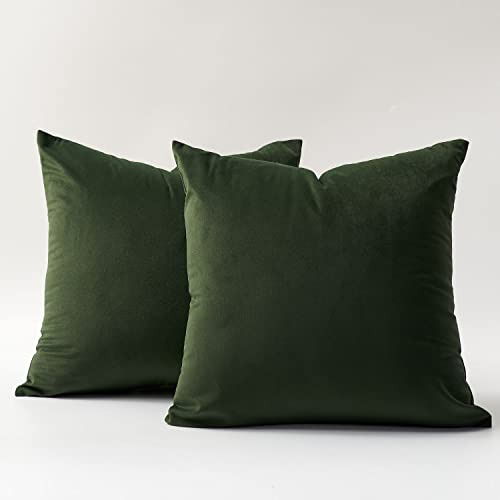 Velvet Throw Pillow Covers 18x18 Set Of 2 Decorative Pi...