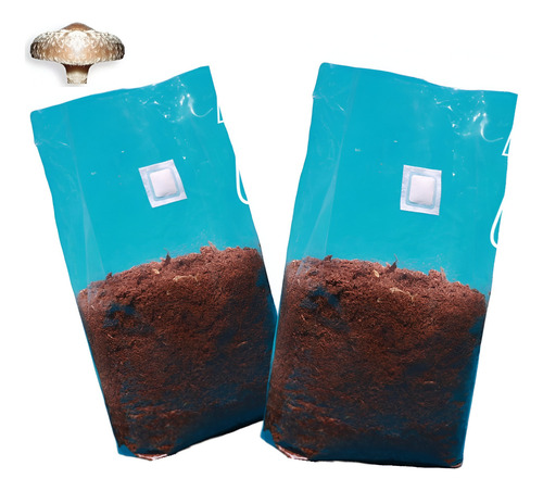 100ch-a Bolsa Cultivo Hongo, Micelio 20x50+12cm Transparente