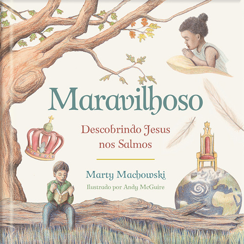 Maravilhoso Descobrindo Jesus Nos Salmos - Marty Machowski