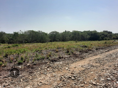 Imagem 5 de 12 de Terreno A Venda No Bairro Tupy Em Itanhaém, Com Entrada De R$ 4.000,00 Reais E Parcelas De R$ 549,00 Reais Fixas. - Te00040 - 70170433