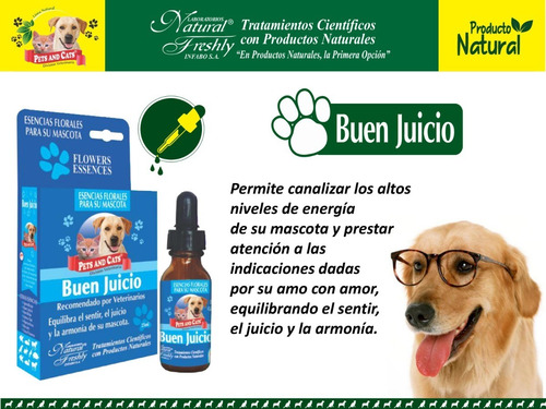 Esencias Florales Para Mascotas Equilibra Su Comportamiento