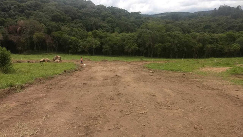 L.s -terrenos Para Formaçao De Chacaras Em Ibiuna Sp