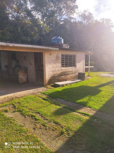 Imagem 11 de 26 de Chácara Em Biritiba Ussu - Mogi Das Cruzes -sp
