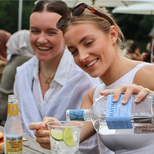 Gin Haymans London Dry Premium