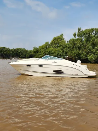 Crucero Canestrari 275 Mercruiser 300 Hp Pata Bravo 3  