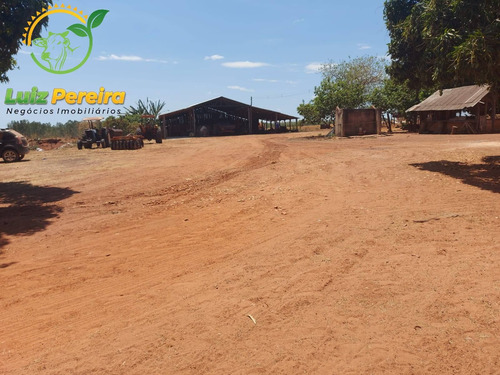 Imagem 8 de 14 de Fazenda À Venda Em Tupiratins - To -n 1.728 Hectares (dupla Aptidão) - 2058