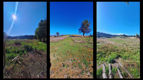 Parcela 1 Ha . En Colico Bajo Sta. Juana (73597)