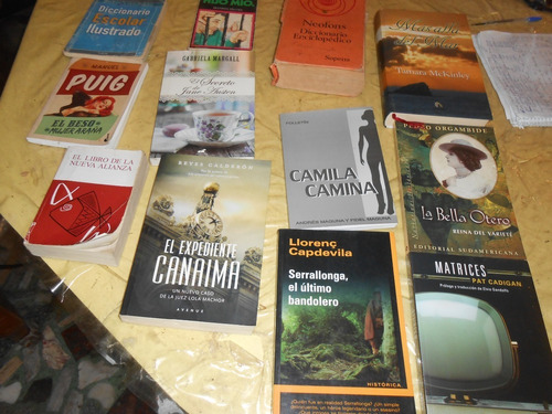 Lote Hermoso De Libros Variados Excelente Estado 