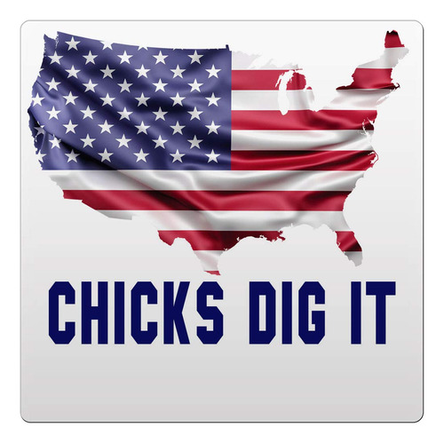 Chicks Dig It America Usa Design2 Posavaso Ceramica 4x4