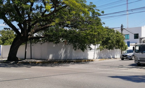 Local Comercial En Avenida Itzaes, Merida.