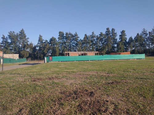 Imagen 2 de 7 de Terreno En Venta En Tafí Viejo
