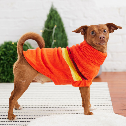 Buzo Abrigo Campera Ropa Perro Small Medium Large Cocooning Color Orange Small Retro 5537