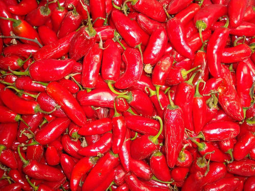 Semillas De Aji Jalapeño Seleccionadas Despacho Ya