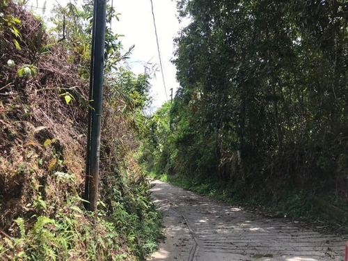 Imagen 5 de 12 de Venta De Terreno En Parcelamiento Cortada Del Guayabo Mls #22-17038