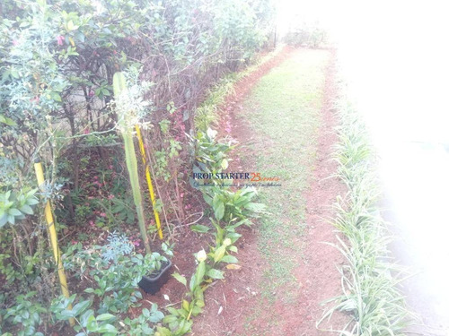 Imagem 26 de 27 de Prox Ao Parque Da Aclimação, Cobertura Com 2 Dormitórios À Venda, 85 M² - Cambuci Propstarter Adm.imoveis - Co0013