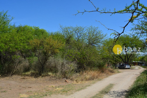 Lote De 537 M2 En Carpintería