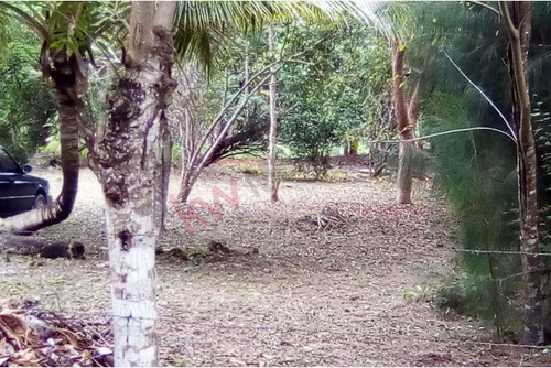 Lote En Venta En Bacalar - Uso De Suelo Mixto - Frente A Carretera Federal 307 - En Esquina - A ...