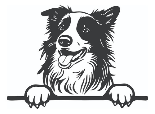 Calco Perro Border Collie Vinilo Auto Motos Termos Noteboo