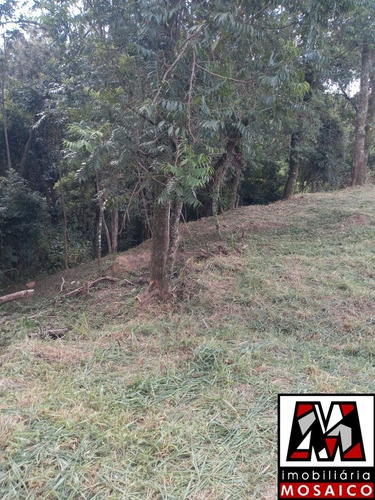 Imagem 5 de 8 de Terreno Medindo 1150 M² Condomínio Fechado Pronto Para Construir, Leve Declive, Aceita Permuta. - 30899 - 69368752