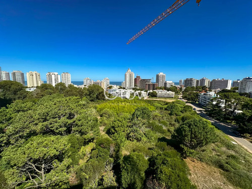 Un Nuevo Concepto De Edificio. View Ii. A Pasos De Todo!