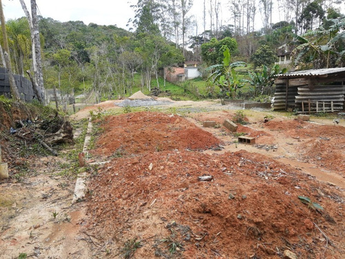 Imagem 19 de 28 de Terreno - Te00030 - 68403756