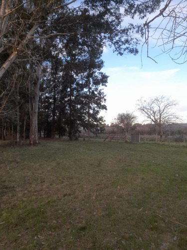 Particular Alquila Parcela/lote En Zona Ruta 36 La Plata