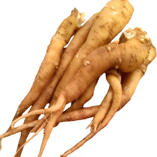 2 Mudas De Ginseng Pfaffia Glomerata Orgânica