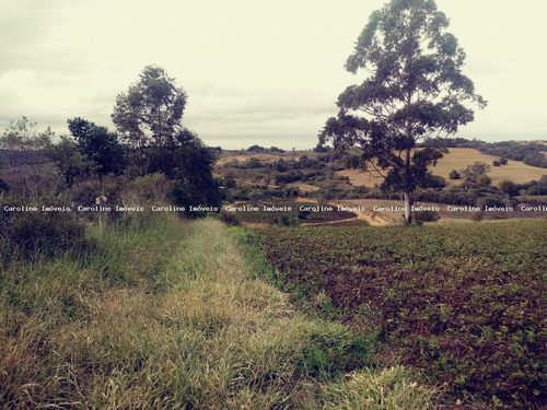 Imagem 1 de 8 de Área Rural Para Venda Em Mariana Pimentel, Boqueirão - 1208_1-1516489