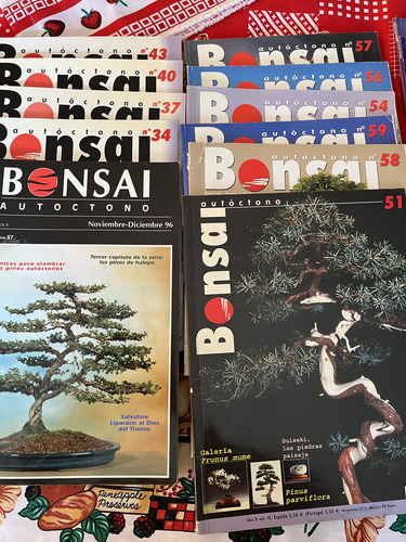 Bonsai Lote De Revistas Españolas (Usado)