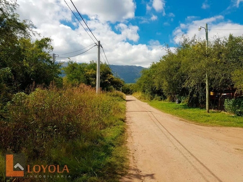 Imagen 2 de 5 de Villa De Merlo Lote De 700 M2 Zona Residencial