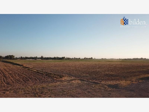 Imagen 3 de 3 de Terreno En Venta Cerca De Frac. Campestre Martinica