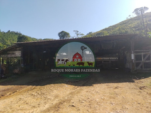Imagem 17 de 28 de Fazenda À Venda No Vale Do Ribeira Sp Medindo 87,5 Alqueires Paulista Ref0978