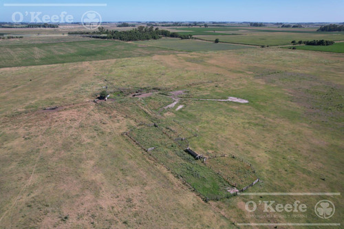 Campo En Venta Mixto De 246 Has En Saladillo