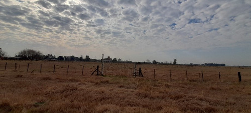 Imagen 8 de 9 de Lote En Venta En San Vicente