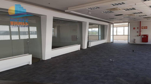 Imagem 26 de 30 de Galpão Para Alugar, 24262 M² Por R$ 436.716,00/mês - Iporanga - Sorocaba/sp - Ga0264