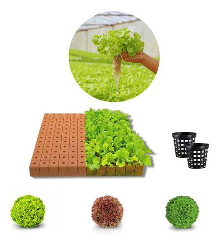 Kit Hidropónico (espuma, Canastillos Y Mix De Semillas)