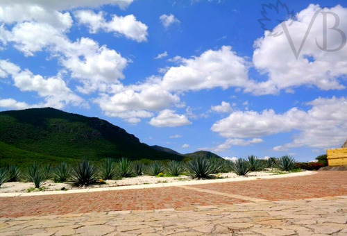 Imagen 9 de 13 de Terreno En Venta En Bernal