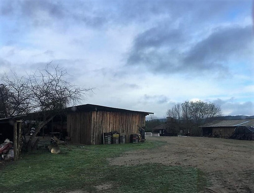 Cauquenes Viñas Y Forestal, 2 Tranques (70047)