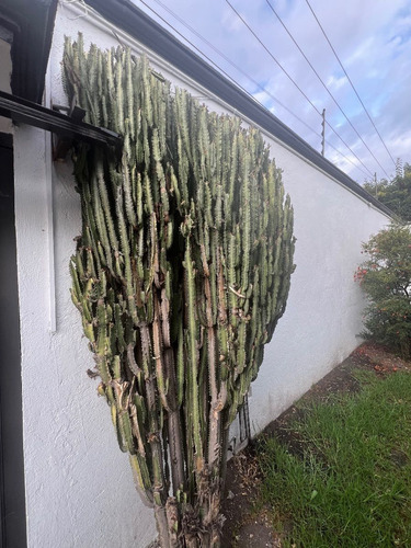 Vendo 2 Terrenos Planos, Las Arboledas, Sección Glorieta Ht527