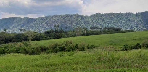 Finca De 160 Has En La Alegría En Yaracal