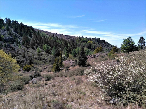Imagen 13 de 22 de Venta! Lote 3524m2 Con Costa De Rio! La Cumbrecita, Peñon Del Aguila!