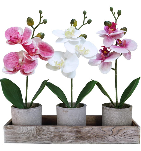 Set 3 Orquídeas Artificiales En Maceta Madera, Falaenopsis D