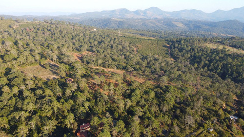 Terrenos En Venta En El Bosque Cercano A Tapalpa, Sayula Y San Gabriel