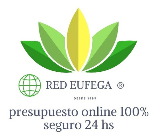 Presupuesto Para Presentar Al Seguro