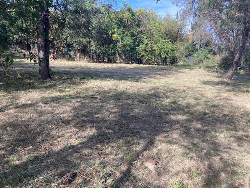 Terreno En Villa Rivera Indarte Para 6 Unidades